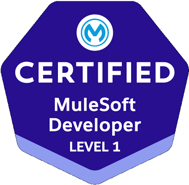Mulesoft Developer